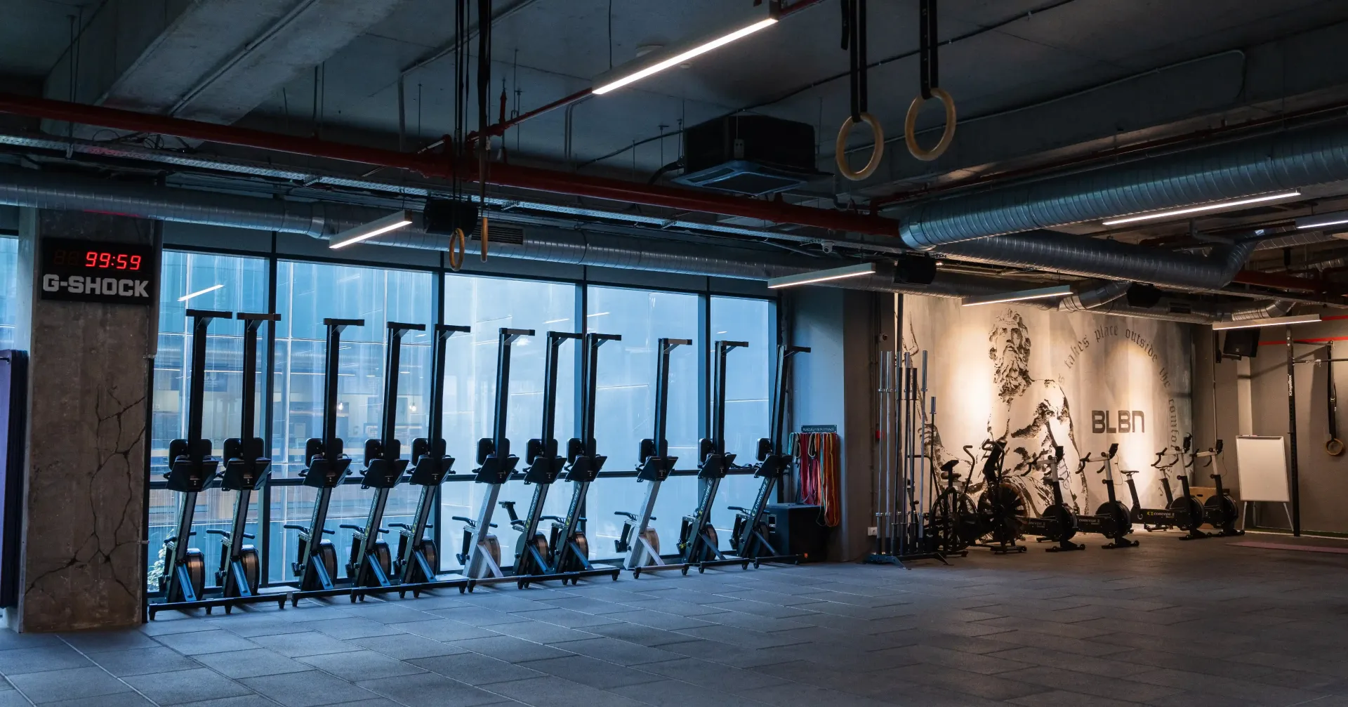 CALISTHENICS salon 2