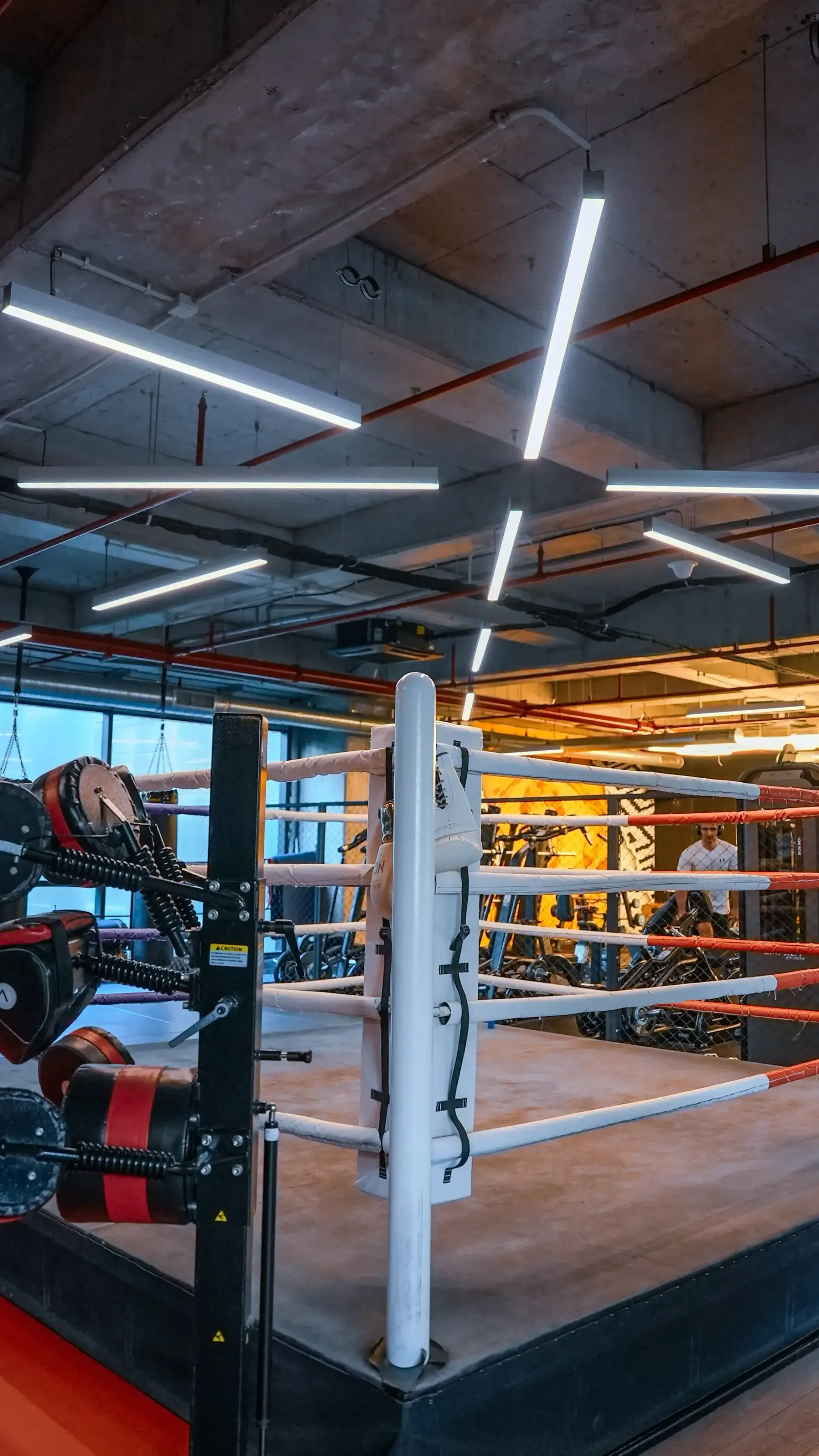 BOXING salon 1